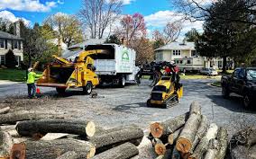 Best Tree Fertilization Services  in Sun Valley, ID